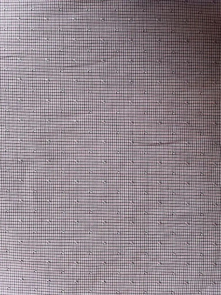 IMG_7019.webp