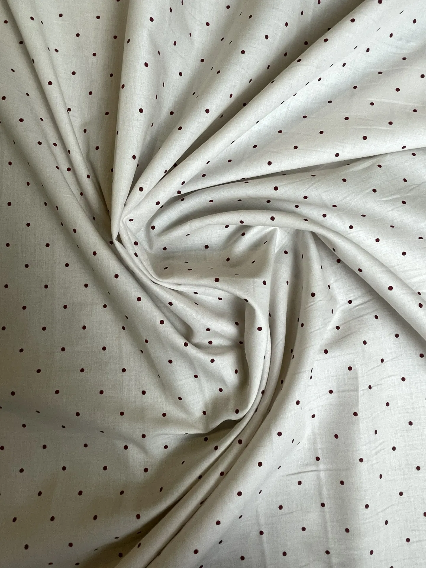 Petits pois bordeaux sur fond blanc