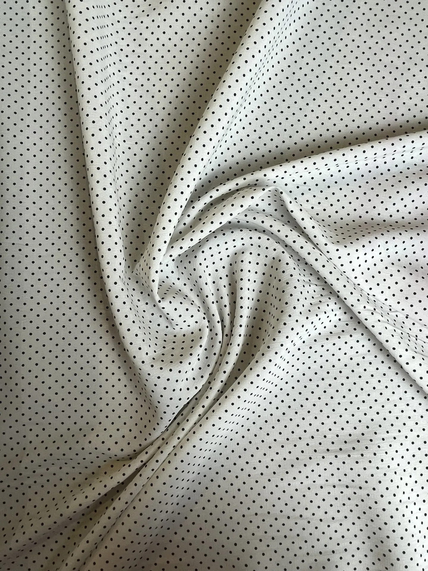 Petits pois noirs sur fond blanc